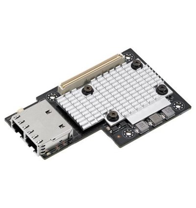 Asus 10GBase-T OCP Network MCI-10G/X550-2T Mezzanine Card
