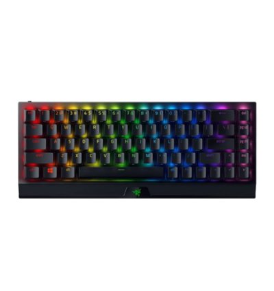 Razer BlackWidow V3 Green Switch Mini HyperSpeed Wireless Mechanical Gaming Keyboard