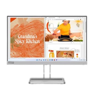 Lenovo L22i-40 22-Inch High-Definition White Display Monitor