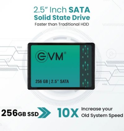 EVM 256GB SATA SSD
