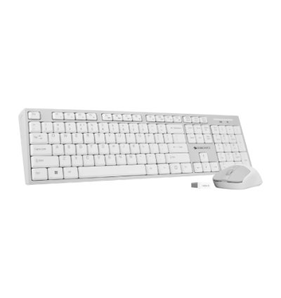 ZEBRONICS Zeb-Companion 304 (White+Grey) Wireless Standard Laptop Keyboard Compatible with Laptop (White+ Grey)