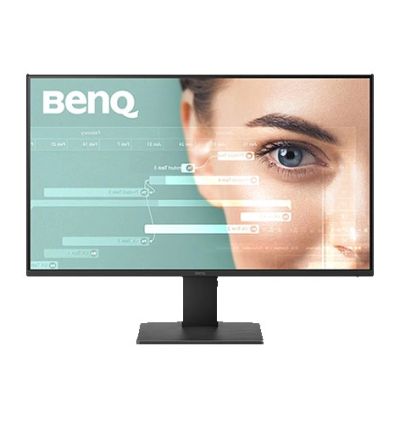 BenQ GW2491P 24 Inch Monitor